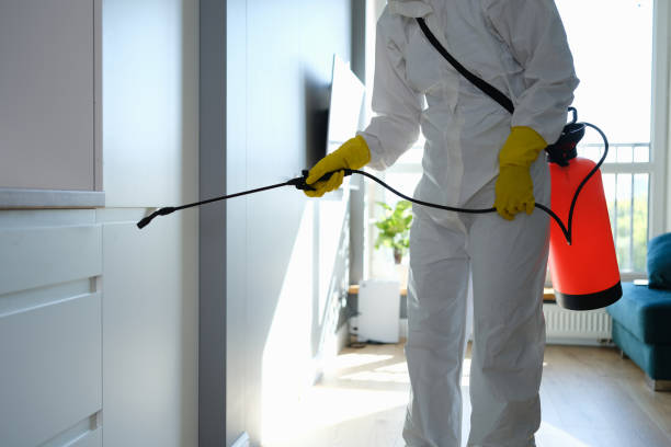 Best Mold Cleaning Services  in Steubenville, OH